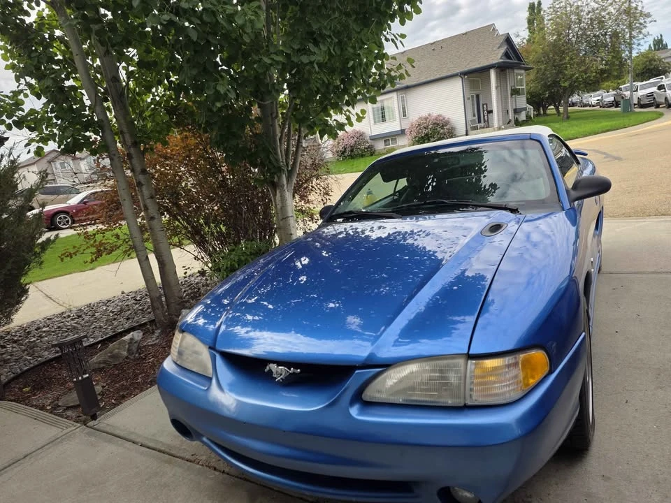 1995 Ford SN95 Mustang - Image 7 of 7