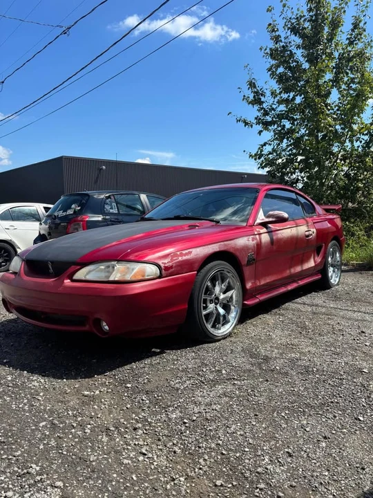 1995 Ford SN95 Mustang - Image 2 of 8