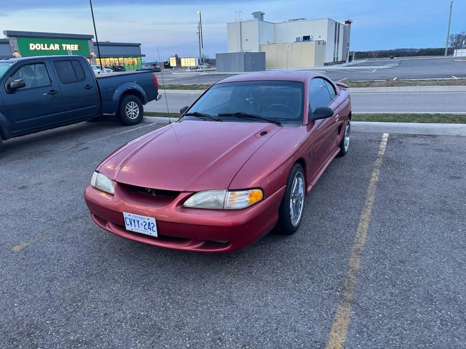 1995 Ford SN95 Mustang - Image 8 of 10