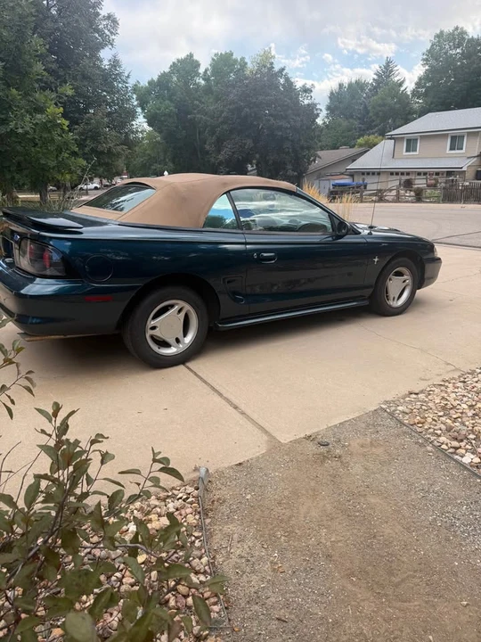 1995 Ford SN95 Mustang - Image 6 of 11
