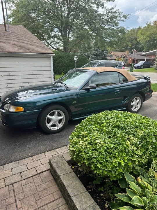 1995 Ford SN95 Mustang - Image 2 of 10