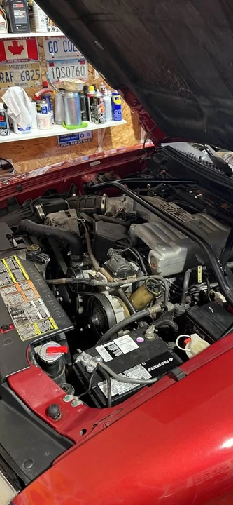 1995 Ford SN95 Mustang - Image 14 of 16
