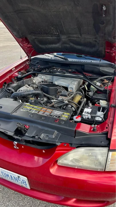 1995 Ford SN95 Mustang - Image 8 of 16