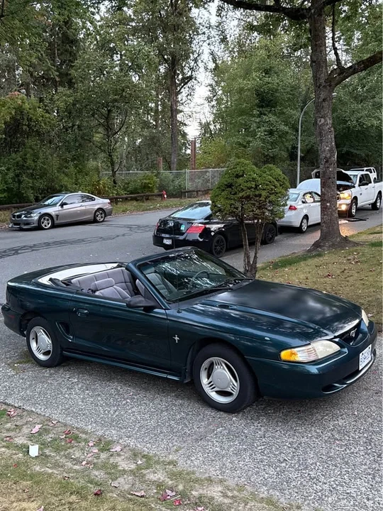 1995 Ford SN95 Mustang - Image 6 of 10