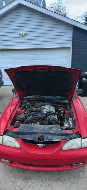 1995 Ford SN95 Mustang - Image 4 of 4