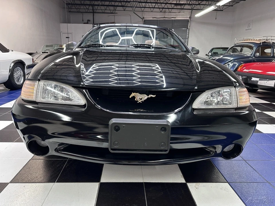 1995 Ford SN95 Mustang - Image 5 of 21