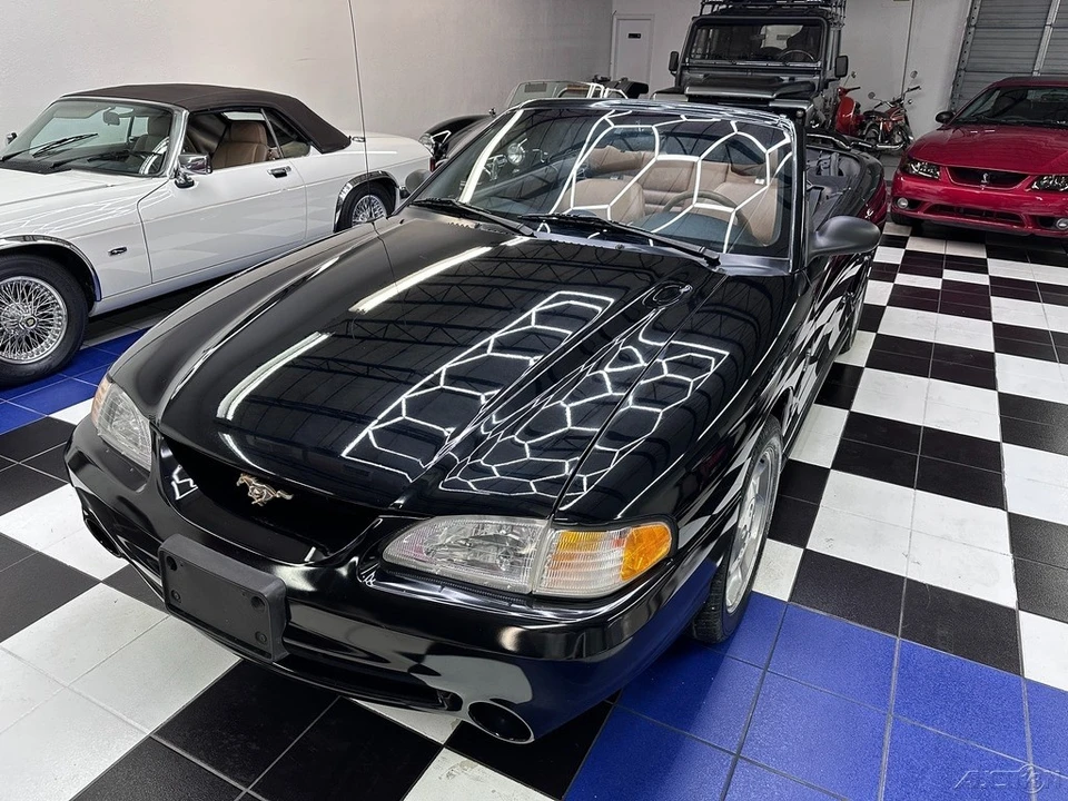 1995 Ford SN95 Mustang - Image 8 of 24