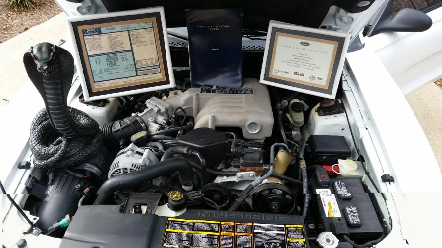 1995 Ford SN95 Mustang Cobra - Image 9 of 12
