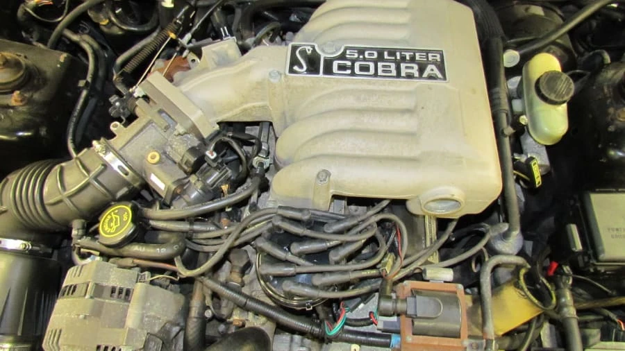 1995 Ford SN95 Mustang Cobra - Image 5 of 5