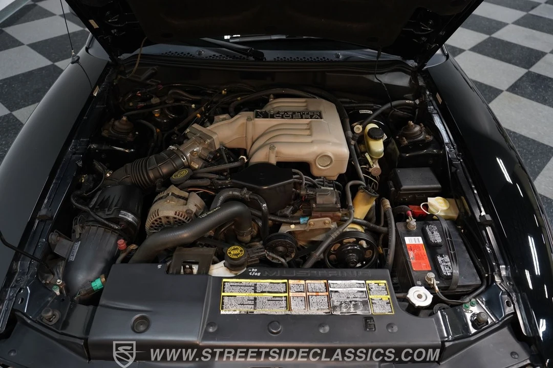 1995 Ford SN95 Mustang Cobra - Image 3 of 12