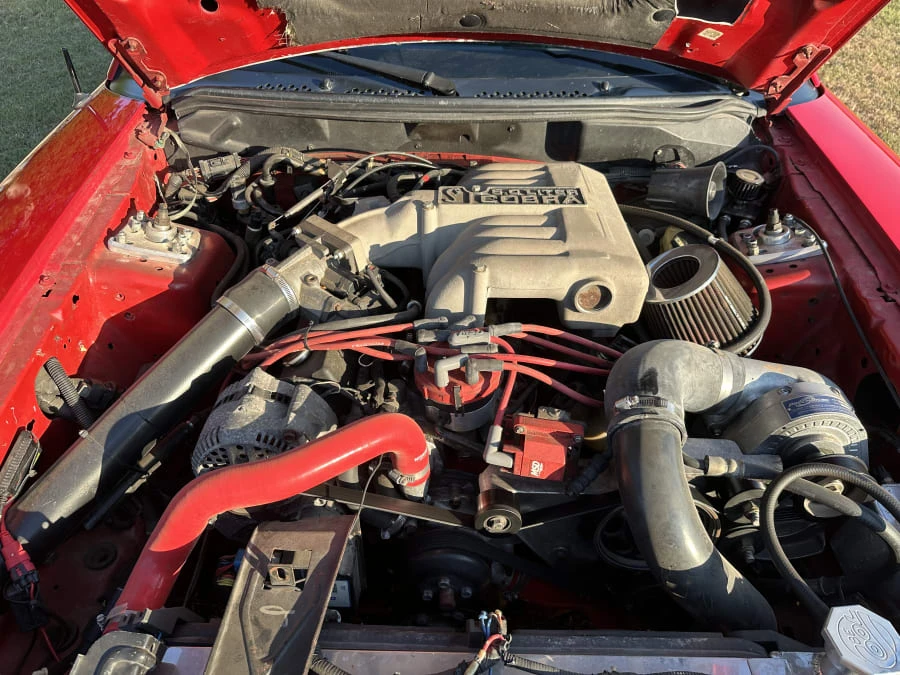 1995 Ford SN95 Mustang Cobra - Image 16 of 19