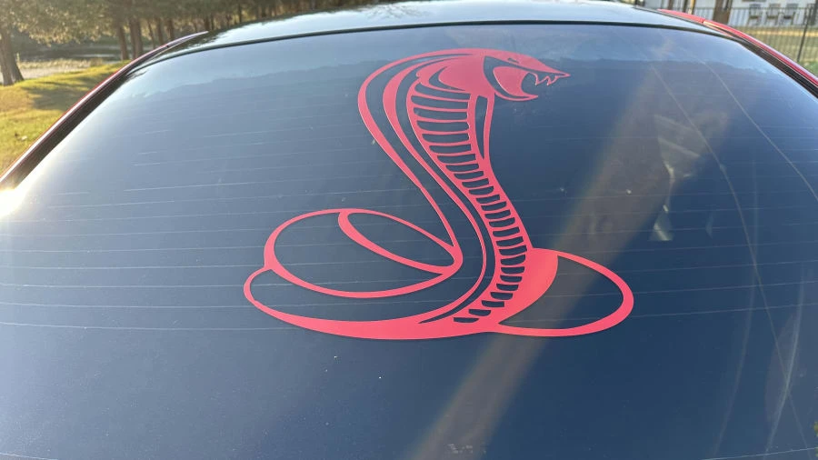1995 Ford SN95 Mustang Cobra - Image 9 of 19