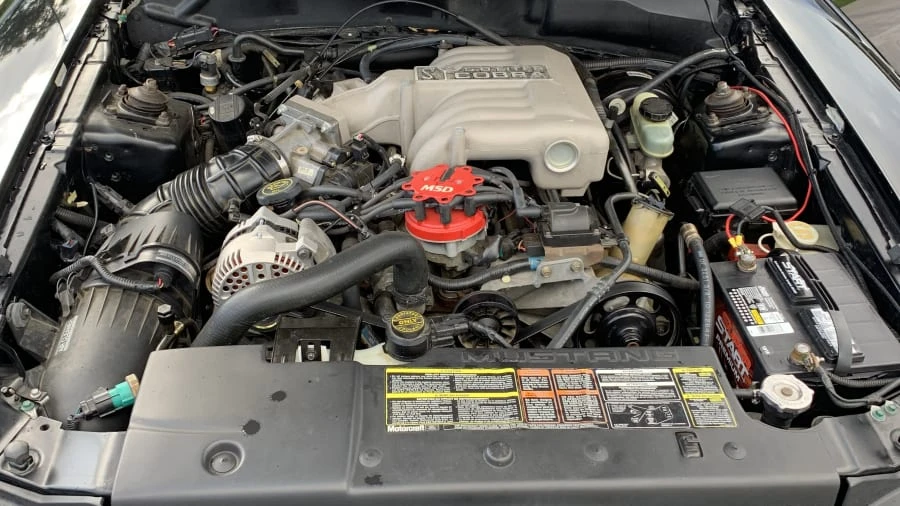 1995 Ford SN95 Mustang Cobra - Image 13 of 13