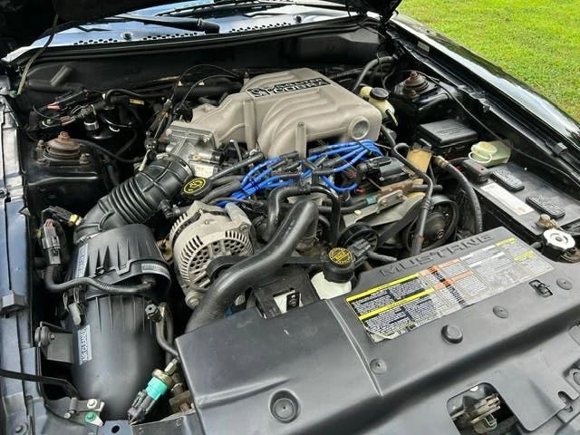 1995 Ford SN95 Mustang Cobra - Image 5 of 18