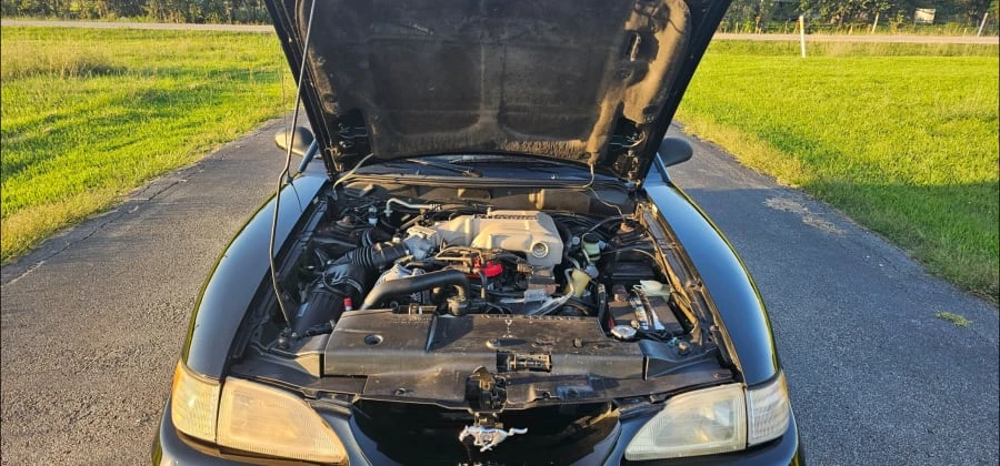 1995 Ford SN95 Mustang Cobra - Image 25 of 29