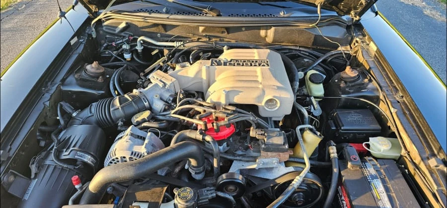 1995 Ford SN95 Mustang Cobra - Image 26 of 29