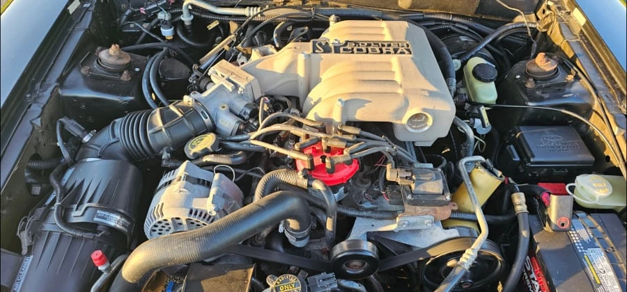 1995 Ford SN95 Mustang Cobra - Image 23 of 29