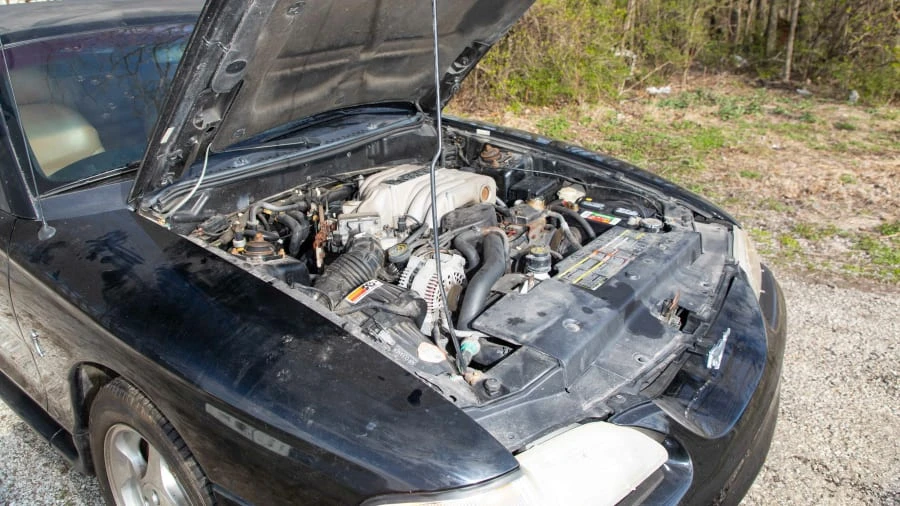 1995 Ford SN95 Mustang Cobra - Image 7 of 12