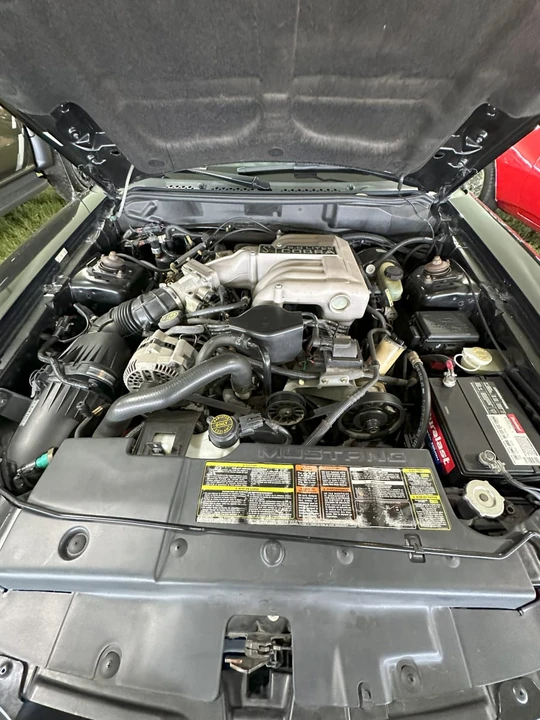 1995 Ford SN95 Mustang Cobra - Image 4 of 4