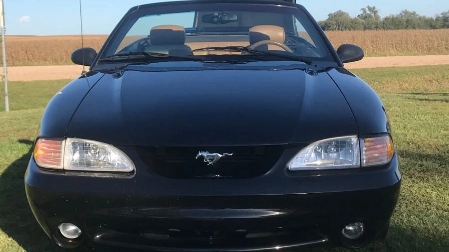 1995 Ford SN95 Mustang Cobra - Image 11 of 12
