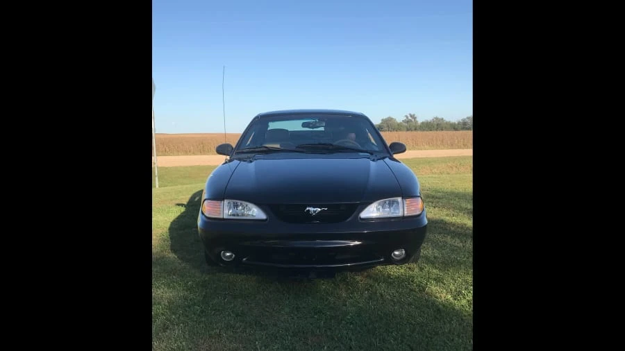 1995 Ford SN95 Mustang Cobra - Image 5 of 11