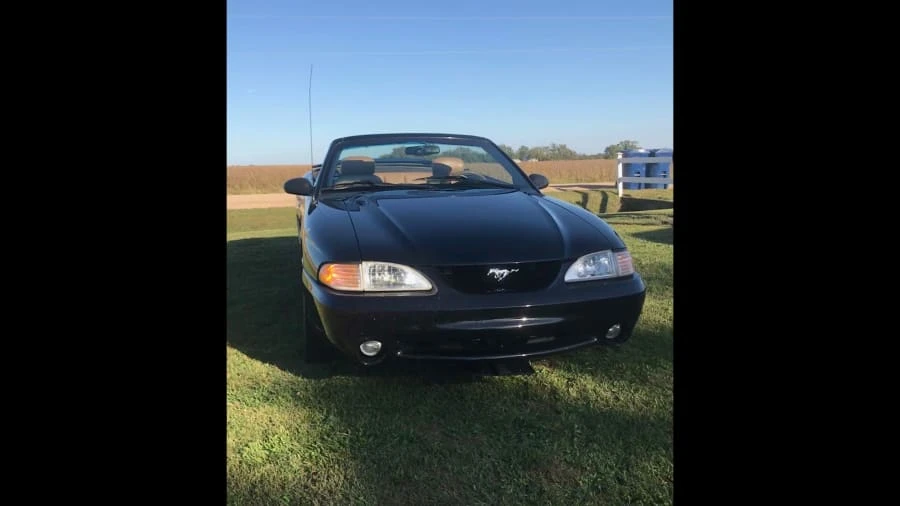 1995 Ford SN95 Mustang Cobra - Image 6 of 11
