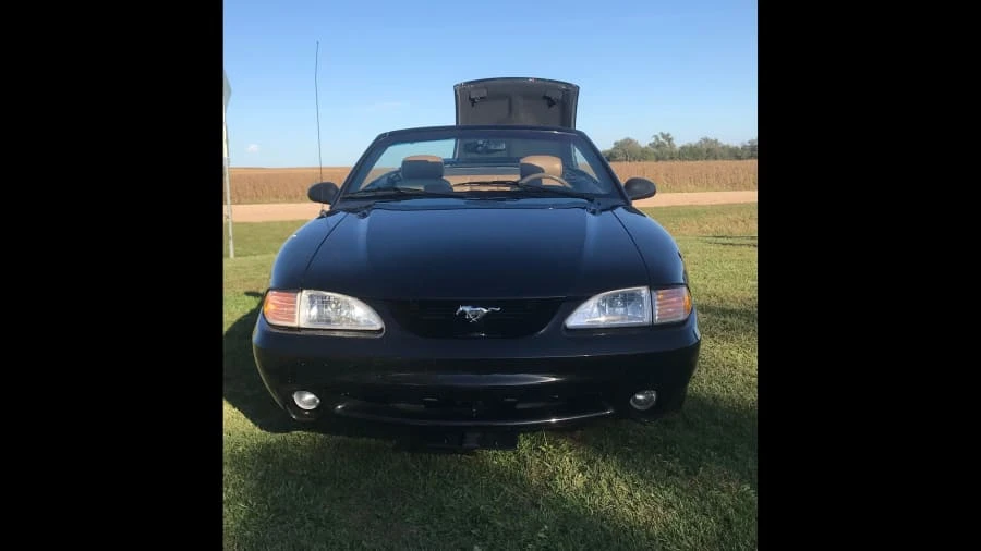 1995 Ford SN95 Mustang Cobra - Image 7 of 11