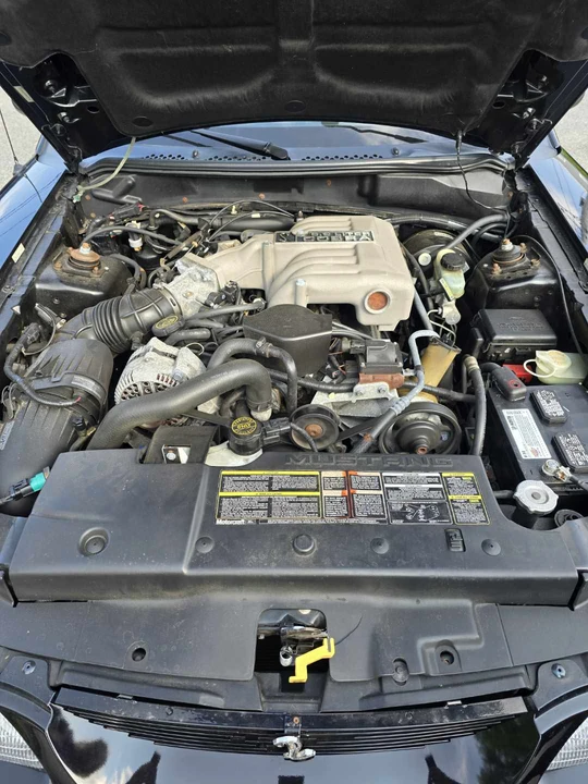 1995 Ford SN95 Mustang Cobra - Image 26 of 31