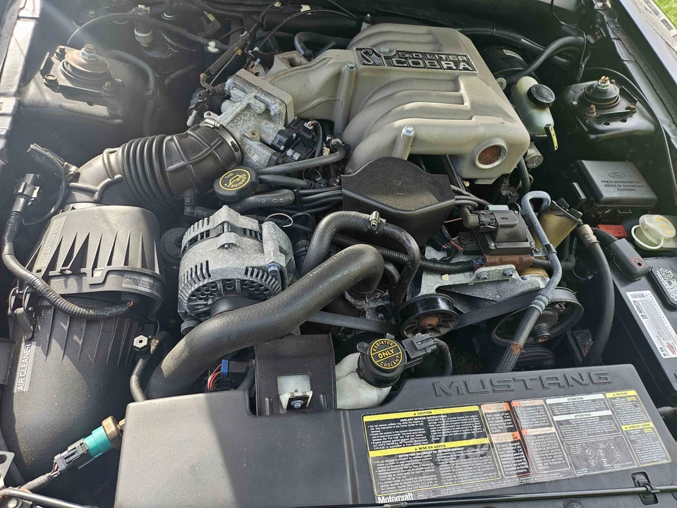 1995 Ford SN95 Mustang Cobra - Image 27 of 31