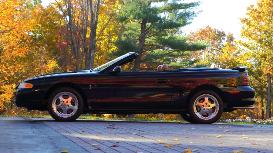 1995 Ford SN95 Mustang Cobra - Image 2 of 12
