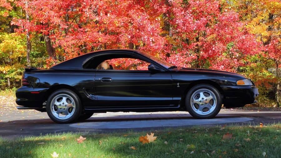 1995 Ford SN95 Mustang Cobra - Image 11 of 12
