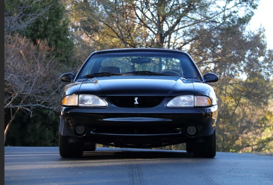 1995 Ford SN95 Mustang Cobra - Image 4 of 29