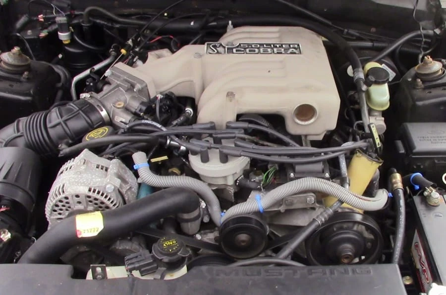 1995 Ford SN95 Mustang Cobra - Image 12 of 12