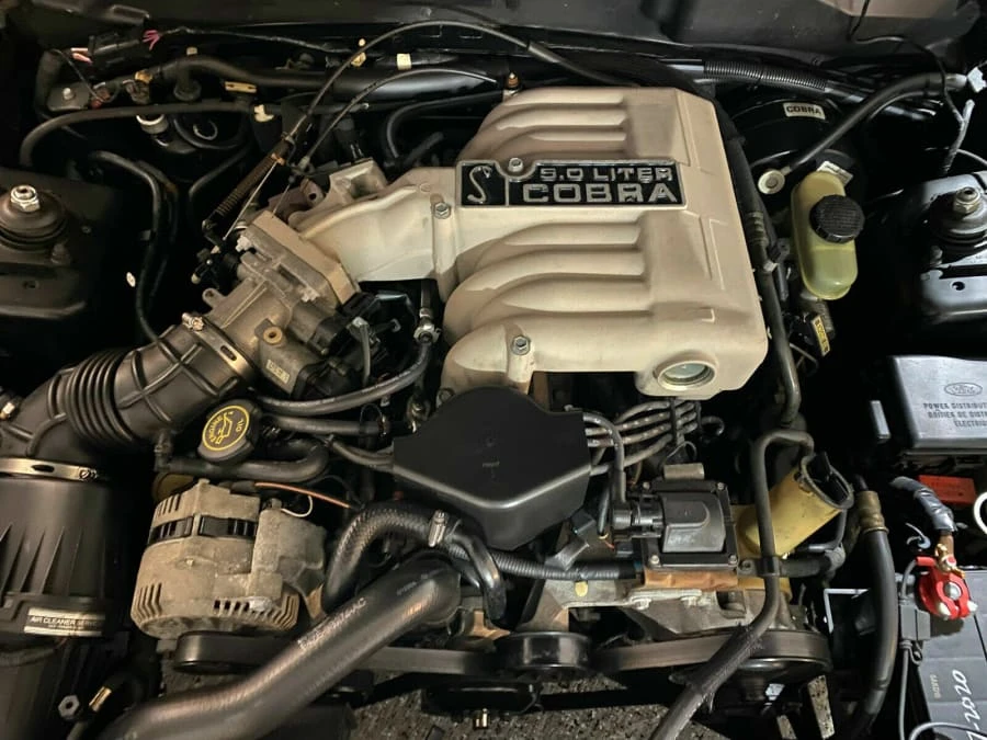 1995 Ford SN95 Mustang Cobra - Image 13 of 17
