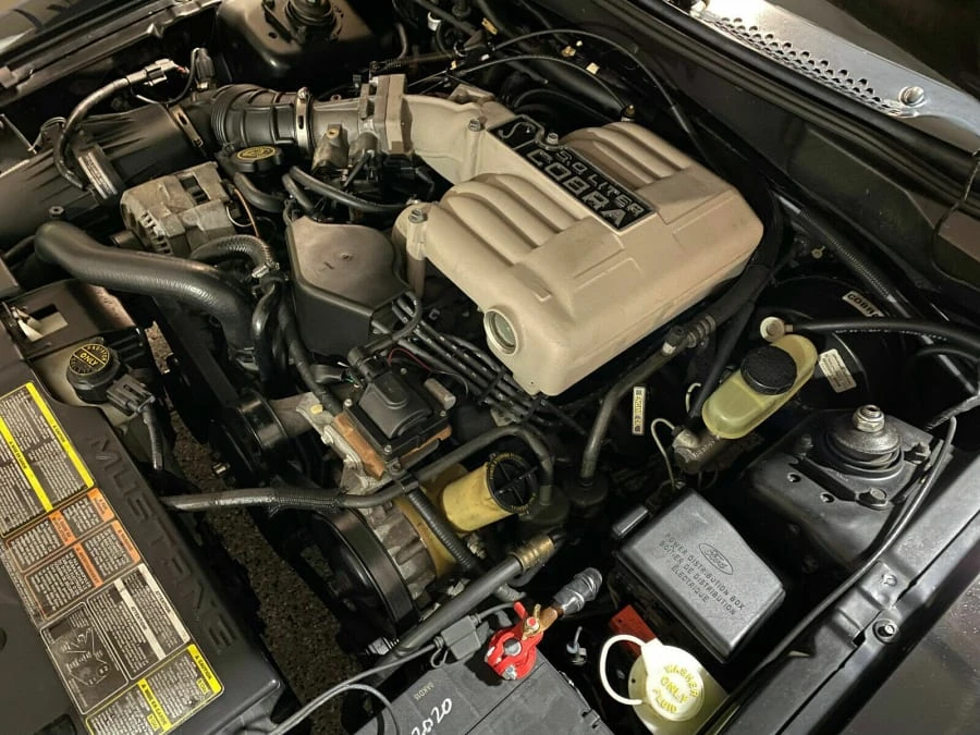 1995 Ford SN95 Mustang Cobra - Image 14 of 17
