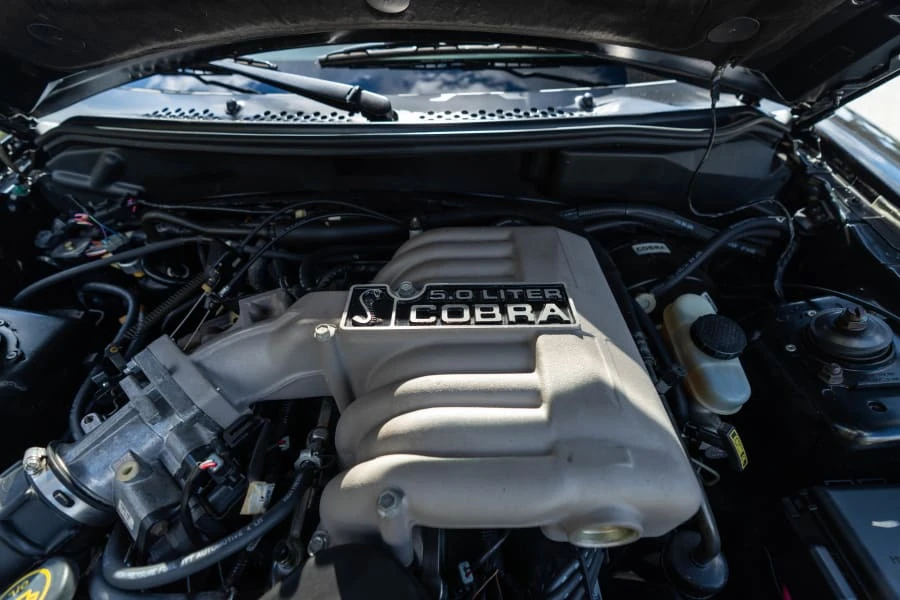 1995 Ford SN95 Mustang Cobra - Image 20 of 21