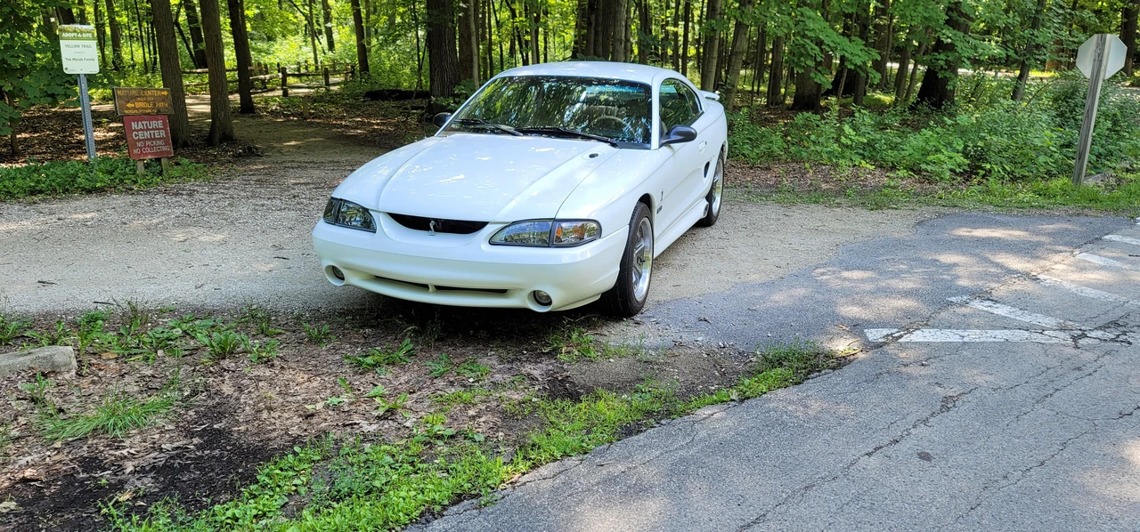 1995 Ford SN95 Mustang Cobra - Image 8 of 31