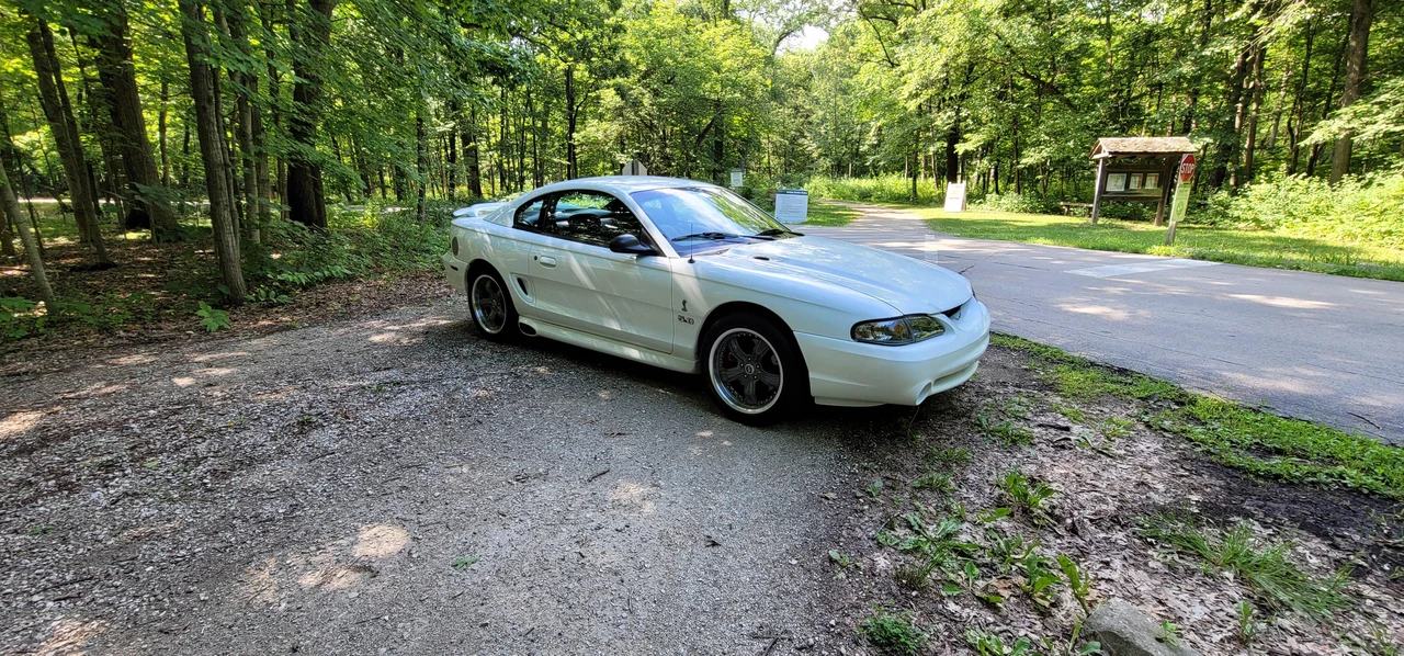 1995 Ford SN95 Mustang Cobra - Image 18 of 31