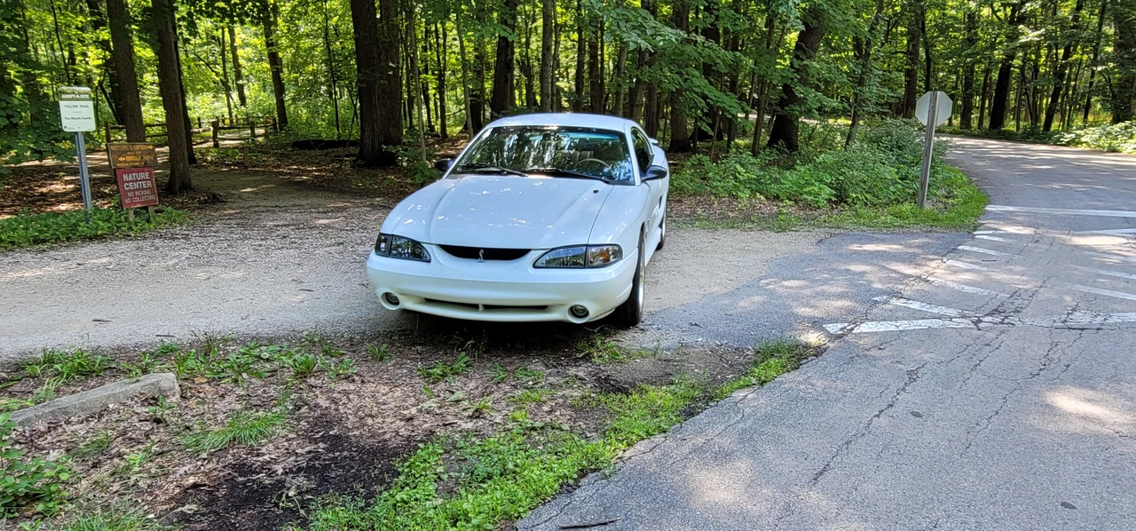 1995 Ford SN95 Mustang Cobra - Image 7 of 31