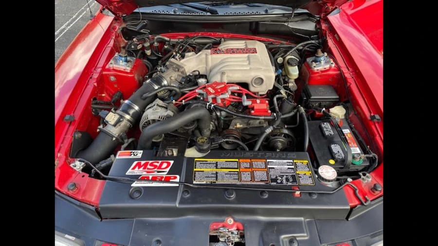 1995 Ford SN95 Mustang Cobra - Image 4 of 8