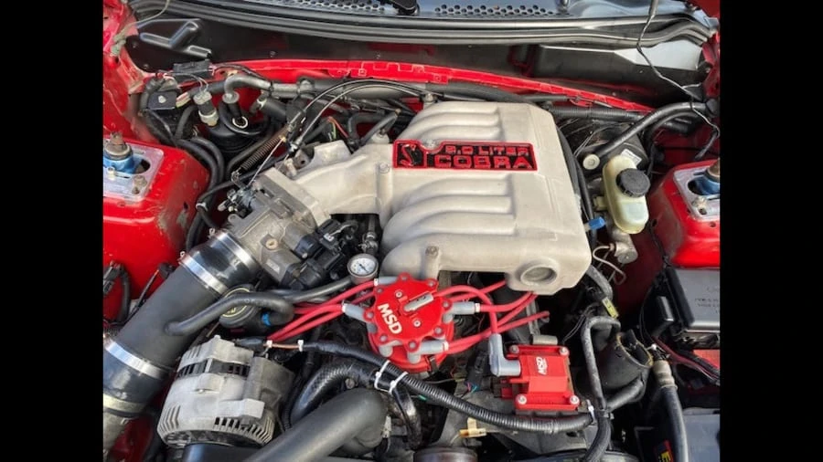 1995 Ford SN95 Mustang Cobra - Image 5 of 8