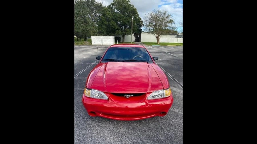 1995 Ford SN95 Mustang Cobra - Image 6 of 8
