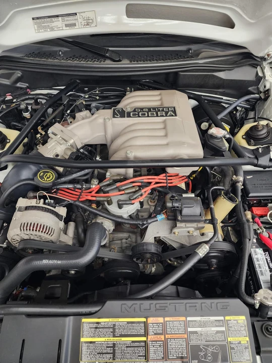 1995 Ford SN95 Mustang Cobra R - Image 22 of 24