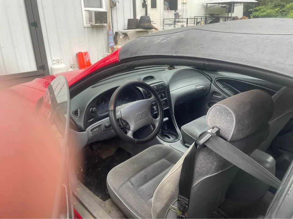 1995 Ford SN95 Mustang - Image 2 of 5