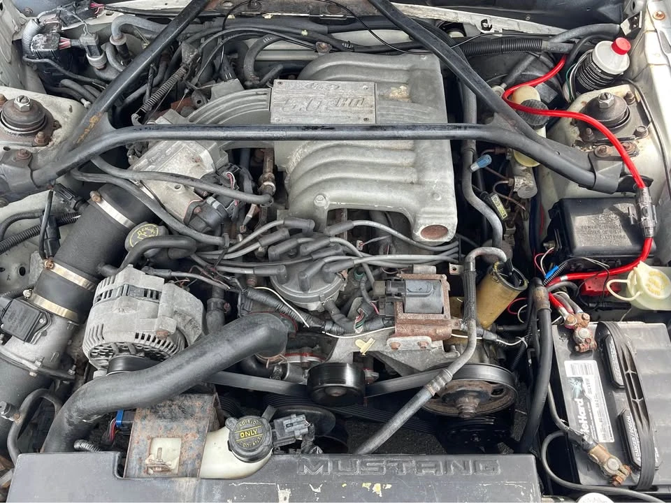 1995 Ford SN95 Mustang Cobra - Image 6 of 12