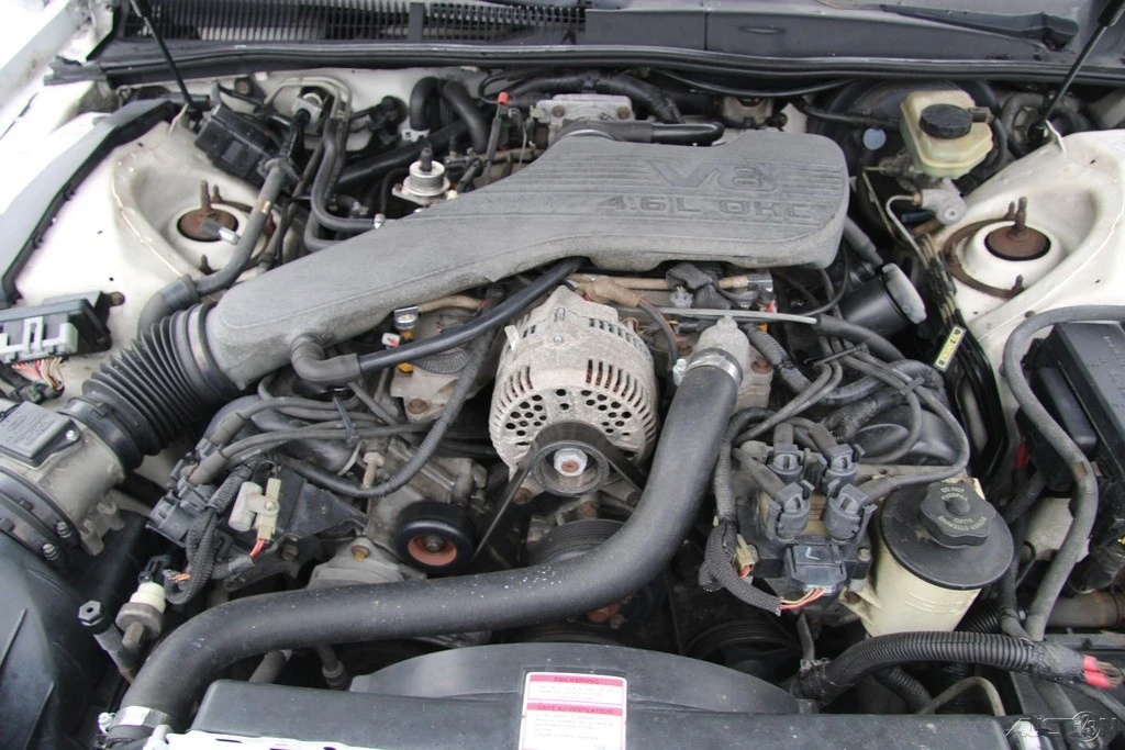 1995 Ford Thunderbird 10th Gen - Image 21 of 21