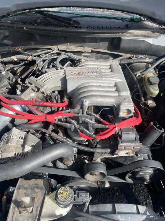 1995 Ford SN95 Mustang - Image 11 of 13