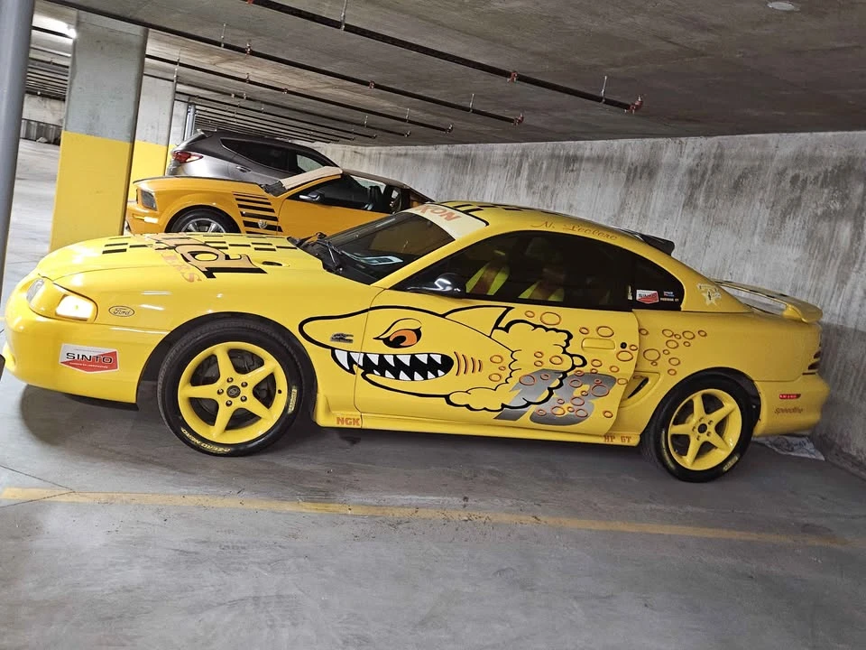 1995 Ford SN95 Mustang - Image 3 of 19