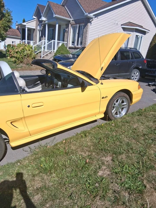 1995 Ford SN95 Mustang - Image 3 of 13