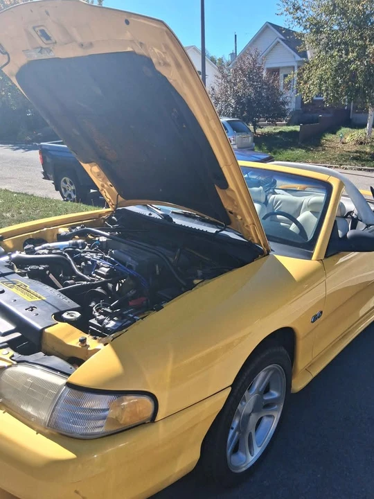 1995 Ford SN95 Mustang - Image 6 of 13